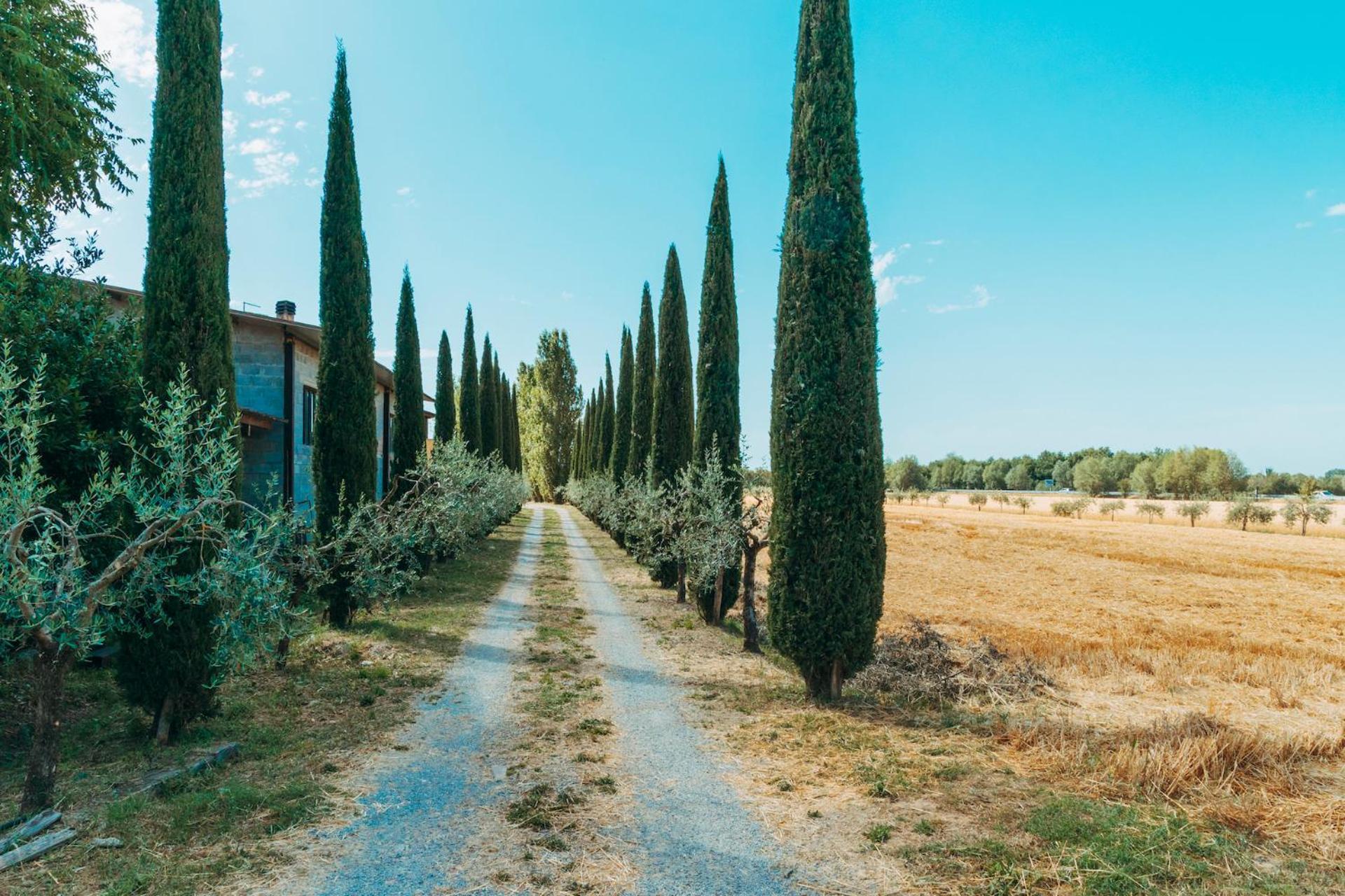 Agriturismo Il Borgo Cortone Extérieur photo