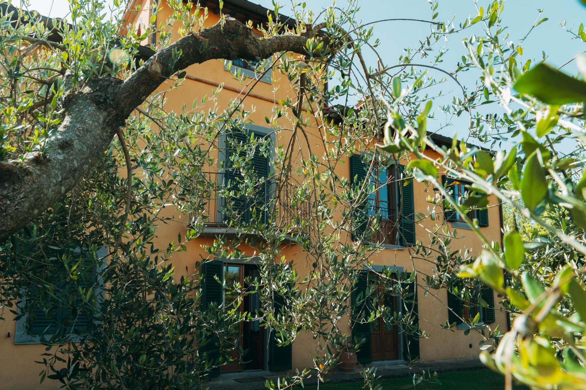 Agriturismo Il Borgo Cortone Extérieur photo